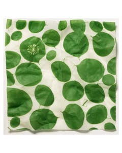 Z Wraps Medium Reusable Beeswax Wrap Leafy Green Print 12 x 12
